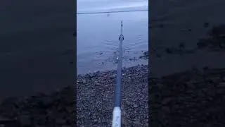 25 июля 2024 г.