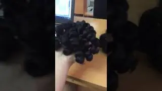 KINKY CURLY WEFT HAIR (10 INCHES)