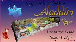 Cupcake & Bella`s Aladdin Themed Hamster Cage September 2017