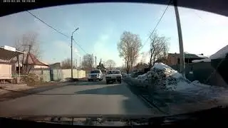 Безумная собака чуть не устроила ДТП