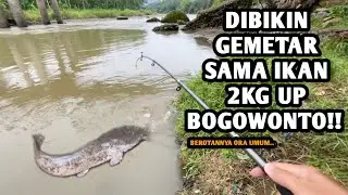BREAKING THE RECORD FOR FISH RESISTANCE, UP TO 11 MINUTES!! Fishing in the Bogowonto River, up to...