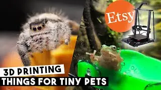 Our Tiny Pet Store 🕷 | Etsy BTS | Creality CR-10 Smart Pro
