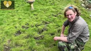 How to Repair a Lawn with Chris Myers