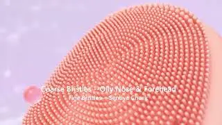 ANLAN Sonic Face Cleaning Brush