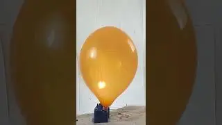 # BTP - big orange balloon blow to pop