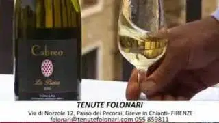 Tenute Folonari - Florence Wine (eng) 17