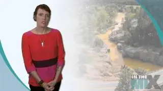 Must-Know Facts About The EPA's Toxic Water Spill