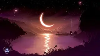 Remove ALL Negative Energy while you Sleep | Aura Detox & Dissolve Toxins | 741Hz Healing Frequency