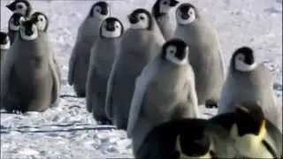 Climb Every Mountain ~ Sound Of Music