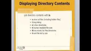Viewing Directory Content with the ls command