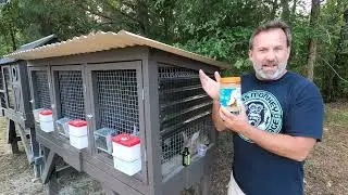 HOW TO Treat Ear Mites in Rabbits | DIY | Safe & Effective