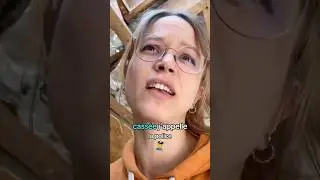 Non mais la politesse enfin 🙄