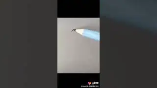 Как нарисовать животных🐾🐾🐾