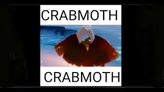 a very funny sky meme compilation