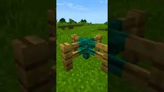 Minecraft Fences are Racist ? #minecraft #shorts