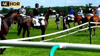 HORSE RIDING RELAXATION 2023 - 4K UHD HDR