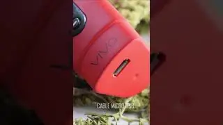 HERBVA VIVA STORIE