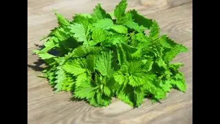 САЛАТ ИЗ КРАПИВЫ И МНОГО ЗЕЛЕНИ.Это Так ВКУСНО!!!!