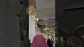 Alhamdulillah Roza Rasool S.A.W #islamicshorts #makkhamadina #rozarasool #masjidalnabwi