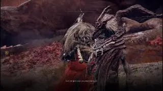 ELDEN RING Shadow of the Erdtree Dragon Lord Path