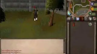RuneScape - Alching Firemaking Cape