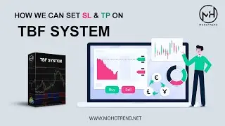 THE BEST FOREX SYSTEM 2021 - TBF system MT4