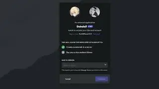 How to get Slash Commands & properly set them up on your server!