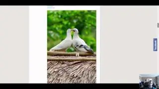 Video 5 - Creating Your Viral Website