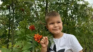 Літо закінчується і це видно по погоді )