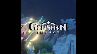 Genshin Impact players be like:  