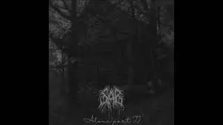 06. Sår - It Will Only Get Worse (Remastered)