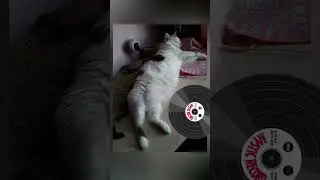 - Антонио, мне жарко! 🏖️🍹⛱️