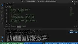 Configure Native NGINX Usage Reporting