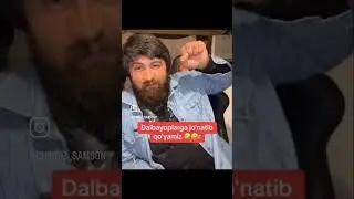 Olg'a dalbayoplar biz dunyoni qo'lga olamiz