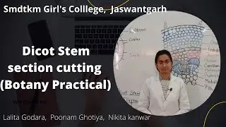 Dicot Stem Section Cutting (Botany Practical) #SMDTKM