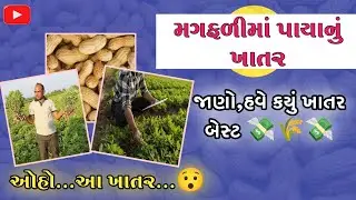 મગફળીમાં પાયાનું ખાતર || paya nu khatar || #groundnut #fertilizer #khedut