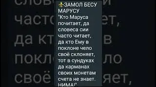 26 августа 2024 г.