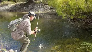 Fishing a Crystal Clear Creek and Setting Snares in South America.