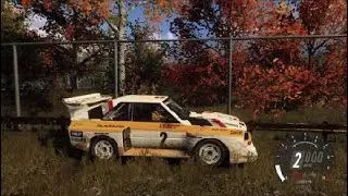 DiRT Rally 2.0_play ground