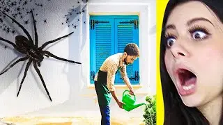 Creepy Spider TikToks I Watched at 3AM !