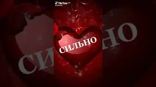4 сентября 2024 г.