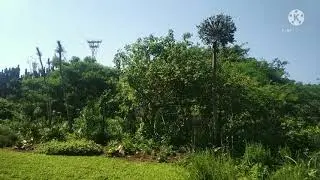Durban, South Africa Botanic Garden