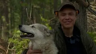 Ответы на комментарии по собакам