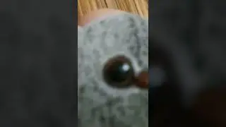 ТГ канал:  Basiki💖