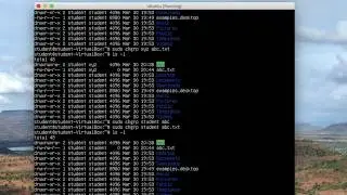 How to Change Groups of Files and Directories in ubuntu 18.04