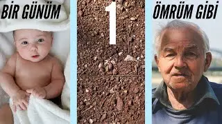 Bir günüm bir ömrüm gibi.
