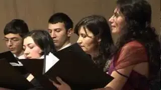 Solemnis - Sarba pe loc