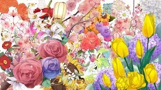 Spring flowers free pngs for picsart edits [Tumblr, Instagram, Pinterest] | Femme Bebe