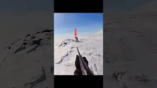 Волк упал после двух идеальных выстрелов 