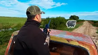Caza de JABALI en Argentina - CAZA MAYOR con FUSIL